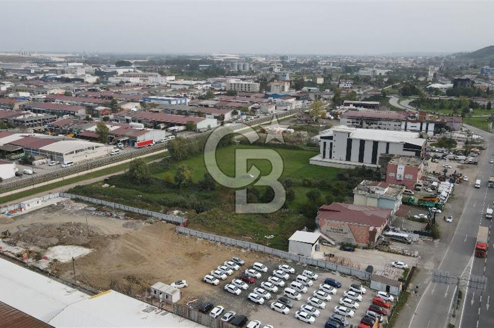 KUTLUKENT'TE SAMSUN ORDU YOLUNA CEPHE KİRALIK ARSA