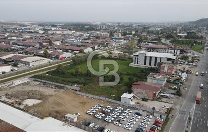 KUTLUKENT'TE SAMSUN ORDU YOLUNA CEPHE KİRALIK ARSA