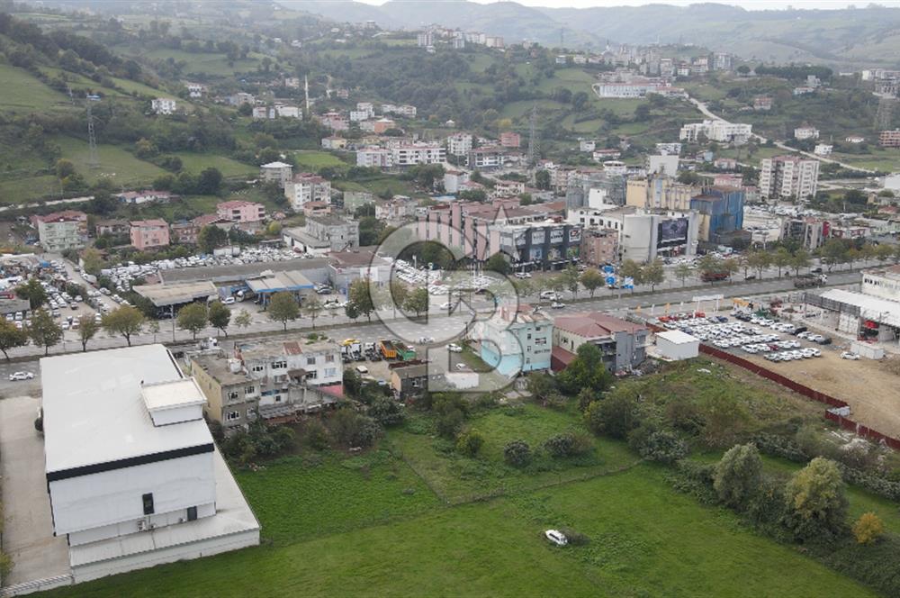 KUTLUKENT'TE SAMSUN ORDU YOLUNA CEPHE KİRALIK ARSA