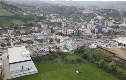 KUTLUKENT'TE SAMSUN ORDU YOLUNA CEPHE KİRALIK ARSA