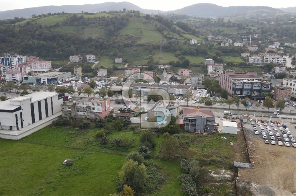 KUTLUKENT'TE SAMSUN ORDU YOLUNA CEPHE KİRALIK ARSA