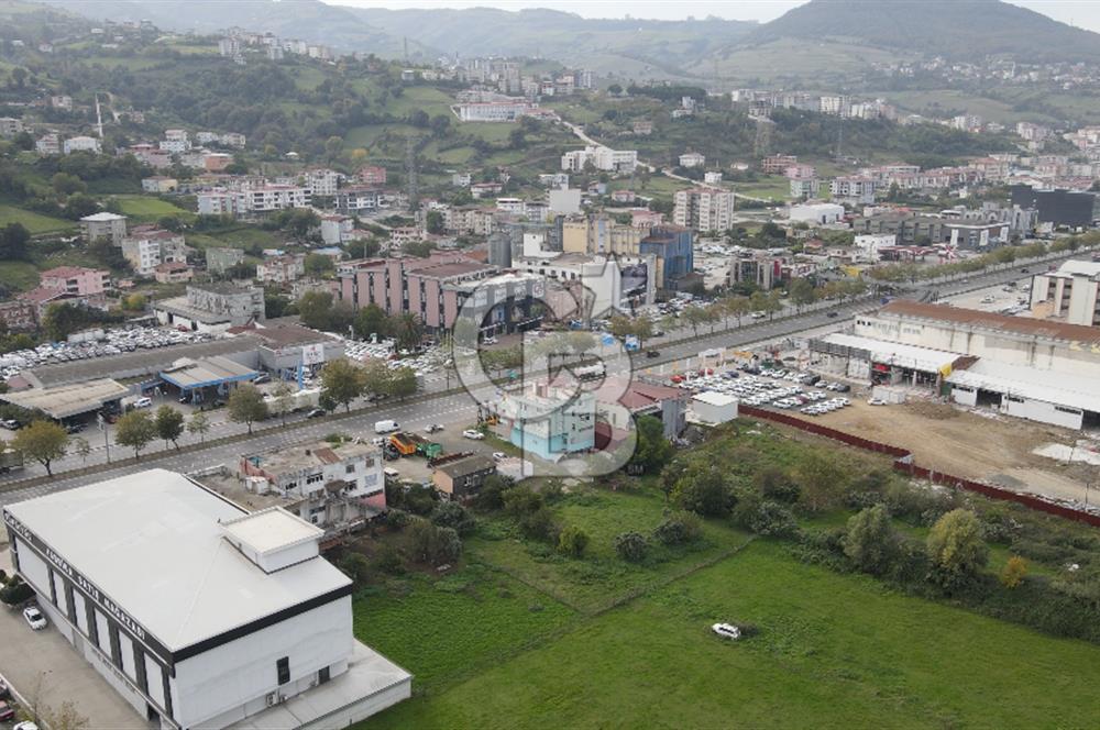 KUTLUKENT'TE SAMSUN ORDU YOLUNA CEPHE KİRALIK ARSA