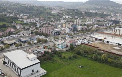 KUTLUKENT'TE SAMSUN ORDU YOLUNA CEPHE KİRALIK ARSA
