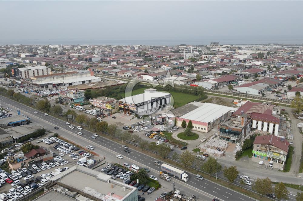 KUTLUKENT'TE SAMSUN ORDU YOLUNA CEPHE KİRALIK ARSA