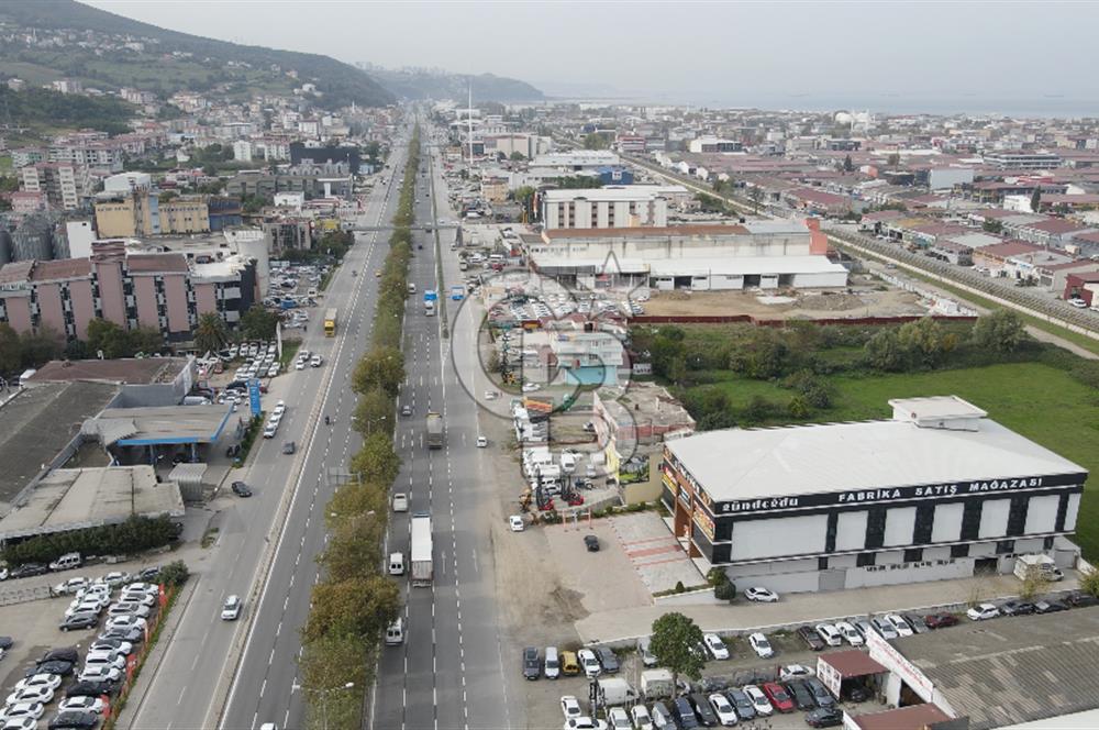 KUTLUKENT'TE SAMSUN ORDU YOLUNA CEPHE KİRALIK ARSA