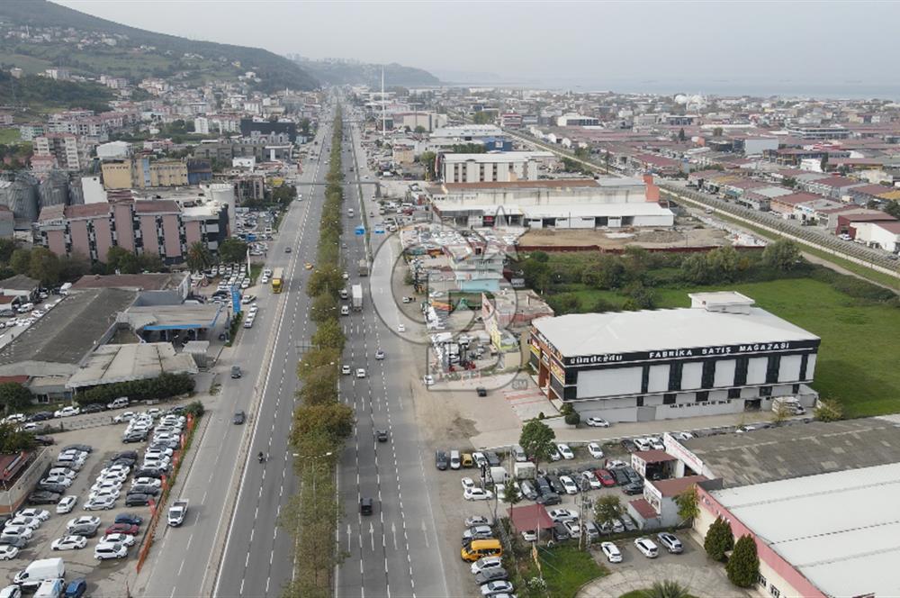 KUTLUKENT'TE SAMSUN ORDU YOLUNA CEPHE KİRALIK ARSA