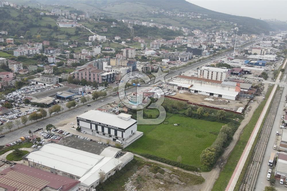 KUTLUKENT'TE SAMSUN ORDU YOLUNA CEPHE KİRALIK ARSA