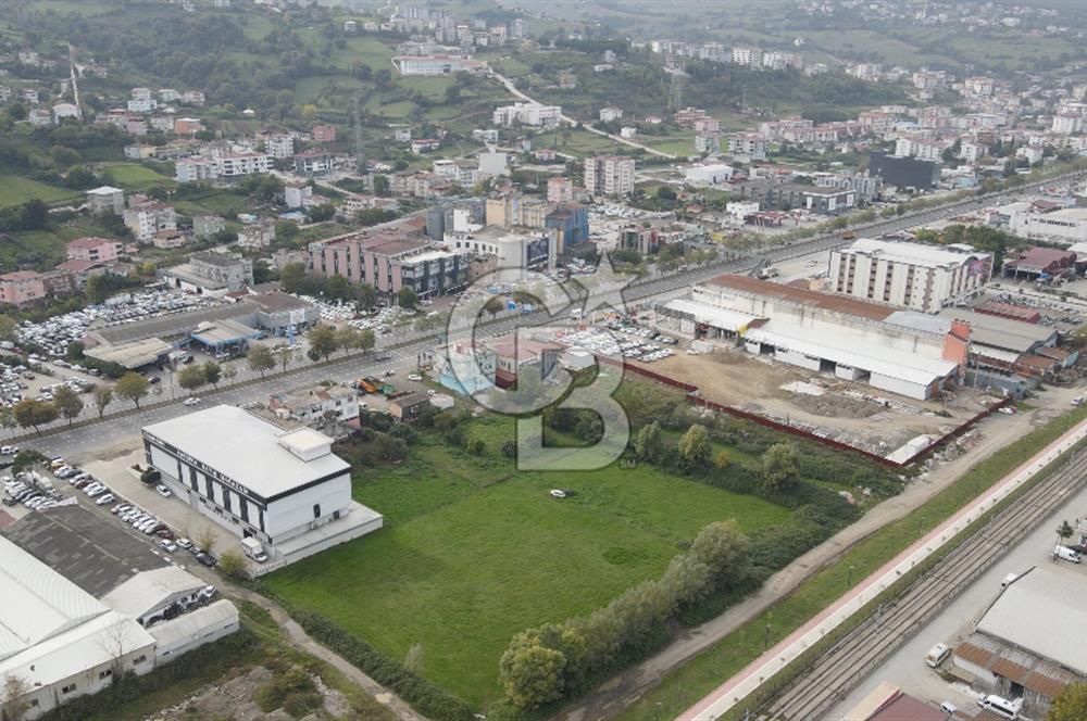 KUTLUKENT'TE SAMSUN ORDU YOLUNA CEPHE KİRALIK ARSA