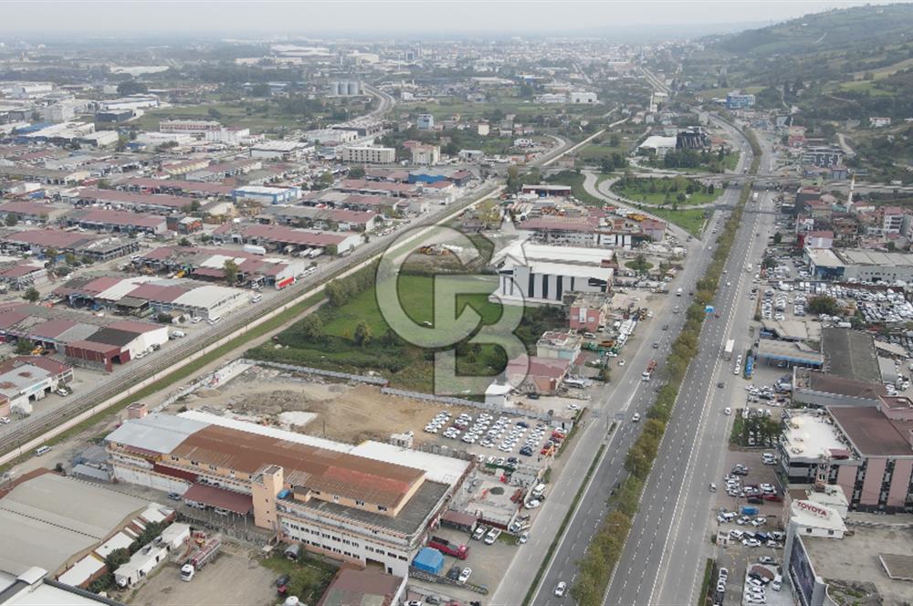 KUTLUKENT'TE SAMSUN ORDU YOLUNA CEPHE KİRALIK ARSA