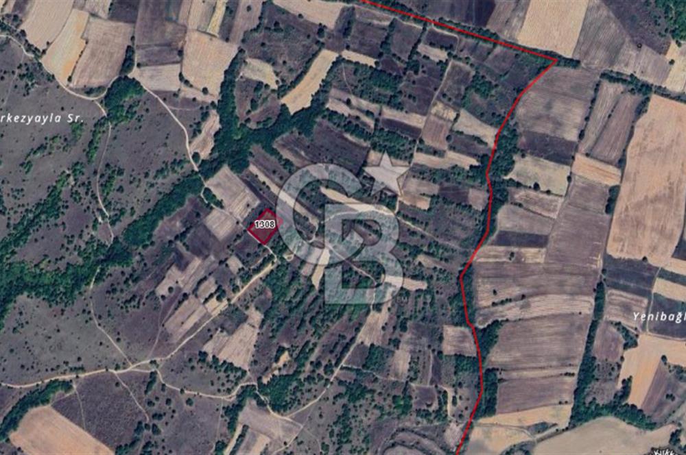 EDİRNE UZUNKÖPRÜ KIRKKAVAK KÖYÜ SATILIK ÇOK UYGUN FİYATLI TARLA!