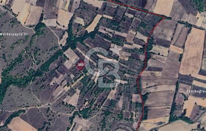 EDİRNE UZUNKÖPRÜ KIRKKAVAK KÖYÜ SATILIK ÇOK UYGUN FİYATLI TARLA!