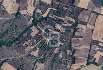 EDİRNE UZUNKÖPRÜ KIRKKAVAK KÖYÜ SATILIK ÇOK UYGUN FİYATLI TARLA! - 1 - 312492