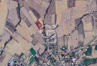 EDİRNE UZUNKÖPRÜ KIRKKAVAK KÖYÜNDE SATILIK 2800 m² TARLA - 2 - 312491