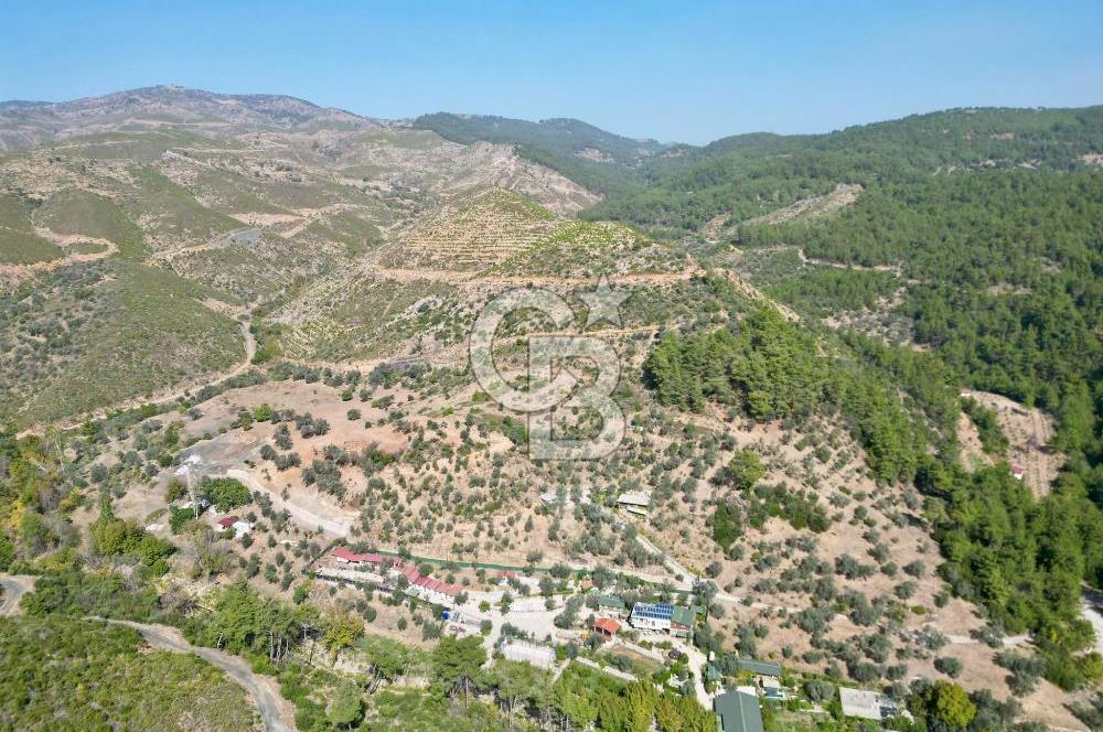 Menderes Çatalça Satılık Tarla (Tek Tapu)