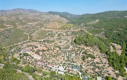 Menderes Çatalça Satılık Tarla (Tek Tapu)