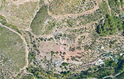 Menderes Çatalça Satılık Tarla (Tek Tapu)