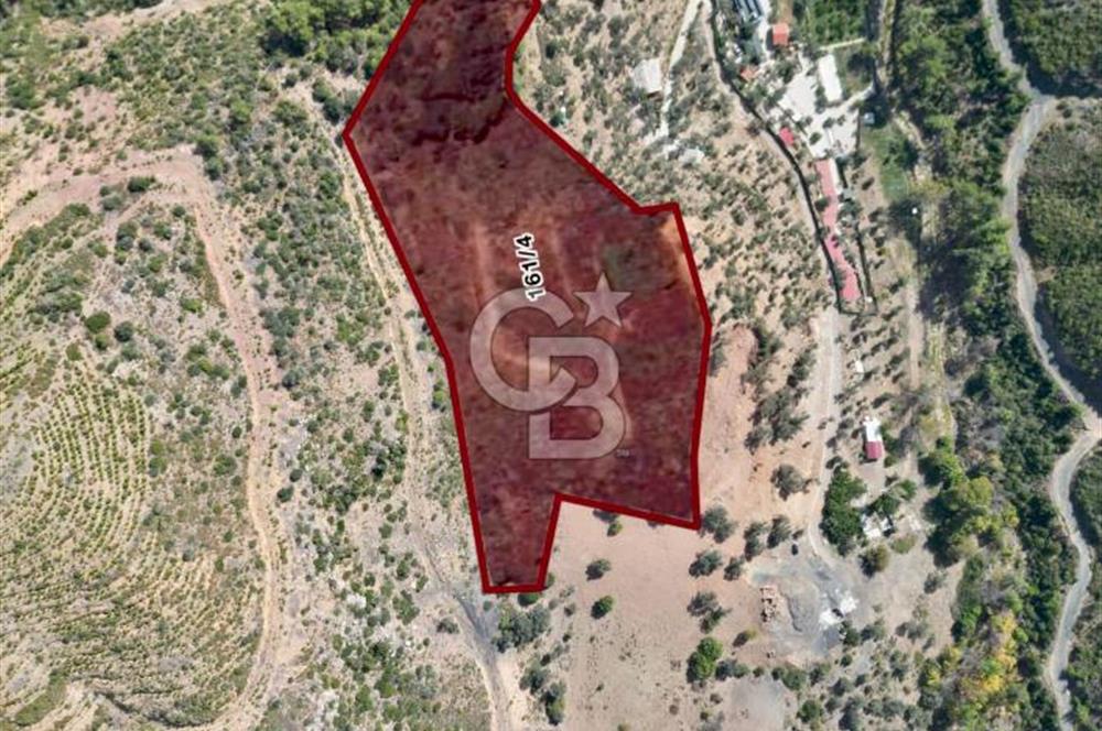 Menderes Çatalça Satılık Tarla (Tek Tapu)