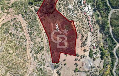 Menderes Çatalça Satılık Tarla (Tek Tapu)