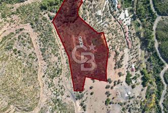 Menderes Çatalça Satılık Tarla (Tek Tapu) - 2 - 312694