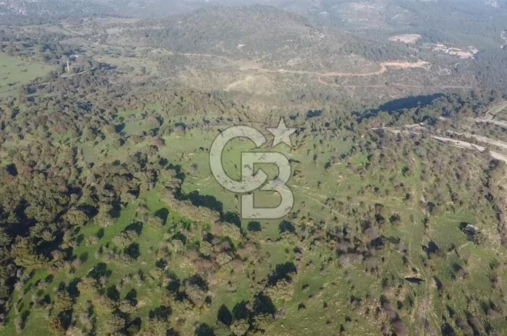  ÇANAKKALE AYVACIK PAŞAKÖY DENİZ MANZARALI YOLU OLAN 5001 M2 ARSA