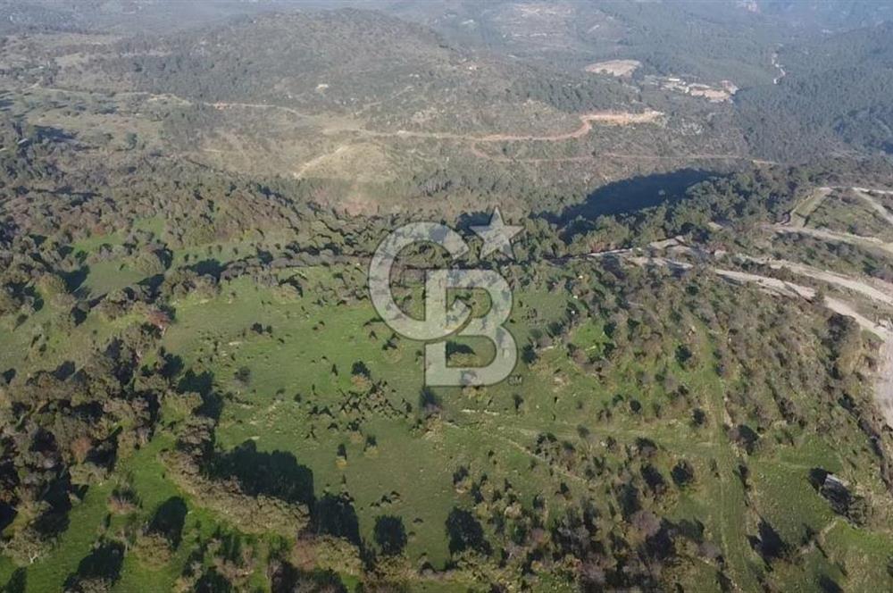  ÇANAKKALE AYVACIK PAŞAKÖY DENİZ MANZARALI YOLU OLAN 5001 M2 ARSA