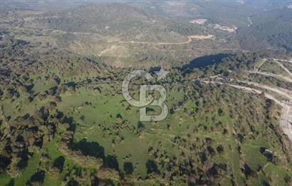  ÇANAKKALE AYVACIK PAŞAKÖY DENİZ MANZARALI YOLU OLAN 5001 M2 ARSA