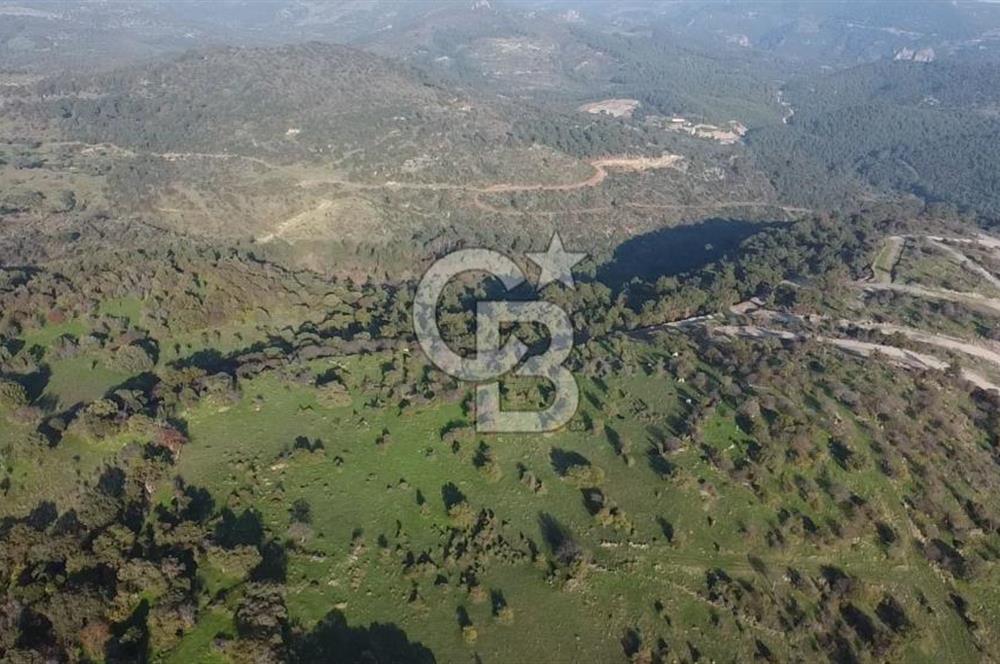  ÇANAKKALE AYVACIK PAŞAKÖY DENİZ MANZARALI YOLU OLAN 5001 M2 ARSA