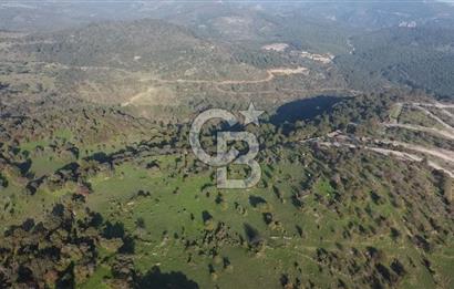  ÇANAKKALE AYVACIK PAŞAKÖY DENİZ MANZARALI YOLU OLAN 5001 M2 ARSA