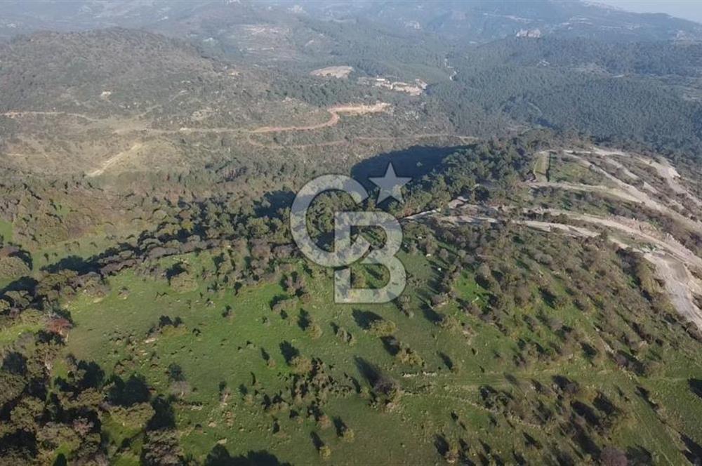  ÇANAKKALE AYVACIK PAŞAKÖY DENİZ MANZARALI YOLU OLAN 5001 M2 ARSA