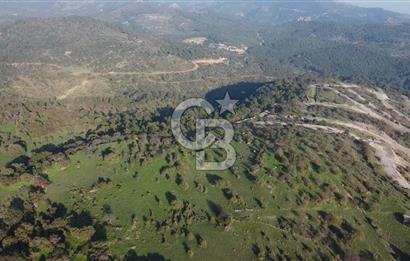  ÇANAKKALE AYVACIK PAŞAKÖY DENİZ MANZARALI YOLU OLAN 5001 M2 ARSA