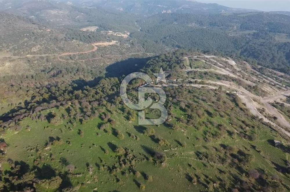  ÇANAKKALE AYVACIK PAŞAKÖY DENİZ MANZARALI YOLU OLAN 5001 M2 ARSA
