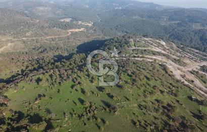  ÇANAKKALE AYVACIK PAŞAKÖY DENİZ MANZARALI YOLU OLAN 5001 M2 ARSA
