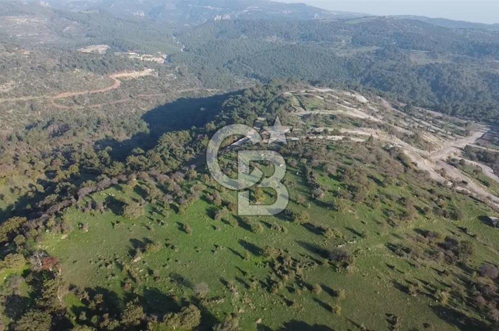  ÇANAKKALE AYVACIK PAŞAKÖY DENİZ MANZARALI YOLU OLAN 5001 M2 ARSA