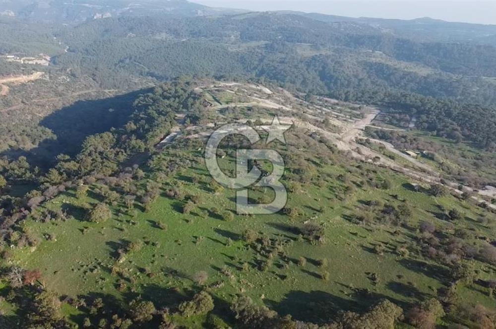  ÇANAKKALE AYVACIK PAŞAKÖY DENİZ MANZARALI YOLU OLAN 5001 M2 ARSA