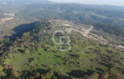  ÇANAKKALE AYVACIK PAŞAKÖY DENİZ MANZARALI YOLU OLAN 5001 M2 ARSA