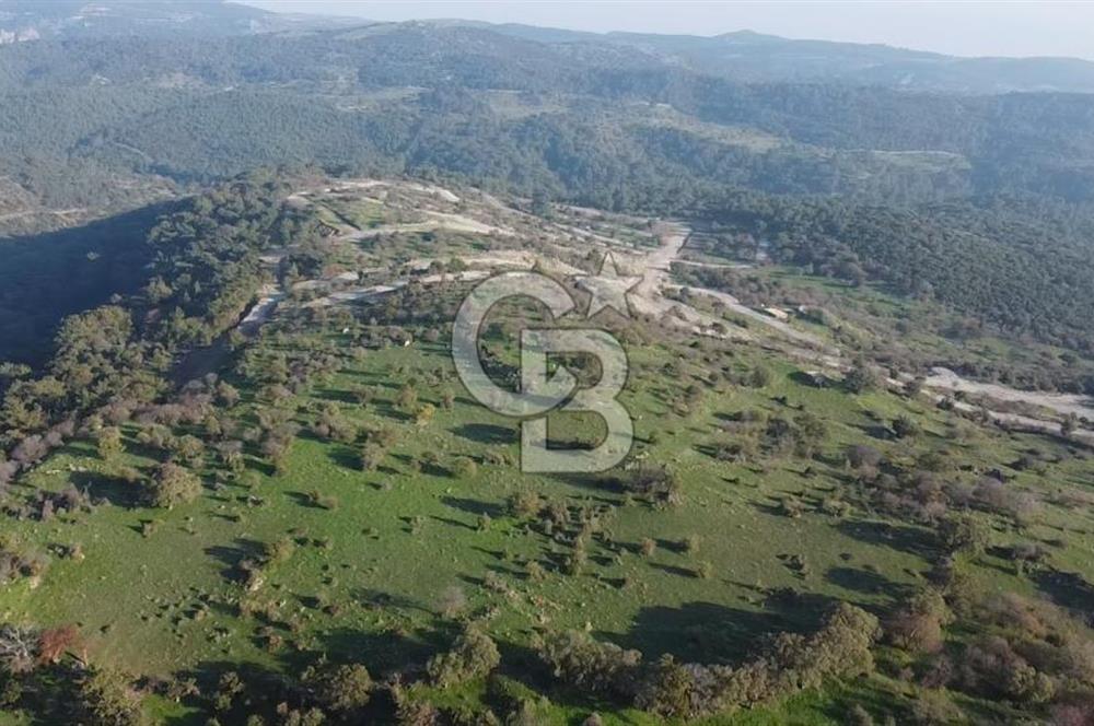  ÇANAKKALE AYVACIK PAŞAKÖY DENİZ MANZARALI YOLU OLAN 5001 M2 ARSA