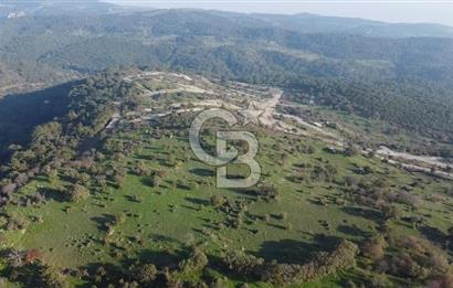  ÇANAKKALE AYVACIK PAŞAKÖY DENİZ MANZARALI YOLU OLAN 5001 M2 ARSA