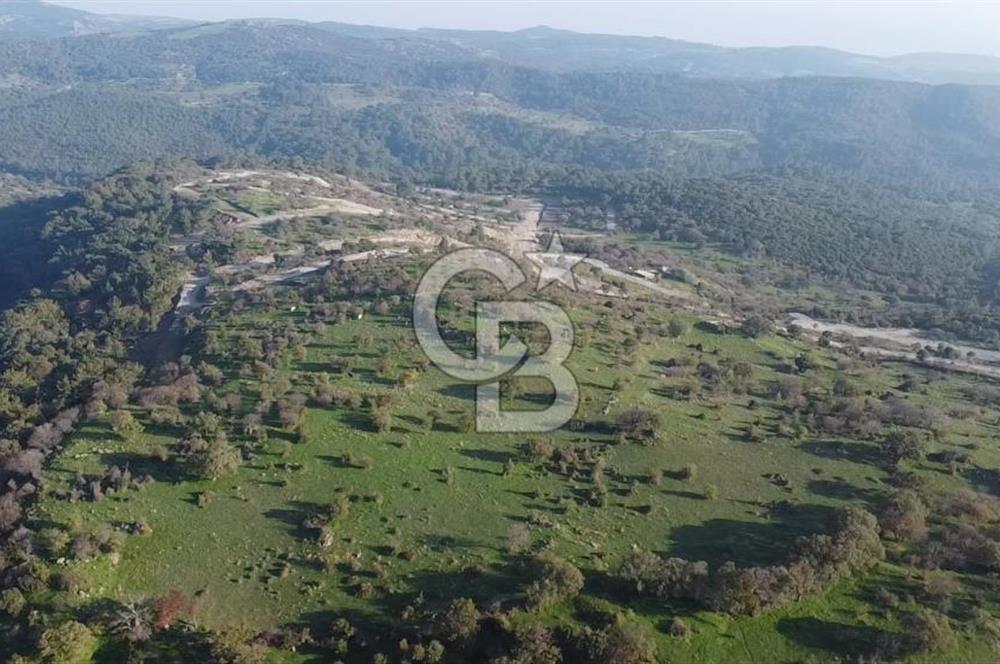  ÇANAKKALE AYVACIK PAŞAKÖY DENİZ MANZARALI YOLU OLAN 5001 M2 ARSA