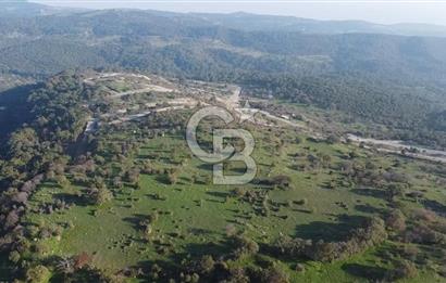  ÇANAKKALE AYVACIK PAŞAKÖY DENİZ MANZARALI YOLU OLAN 5001 M2 ARSA