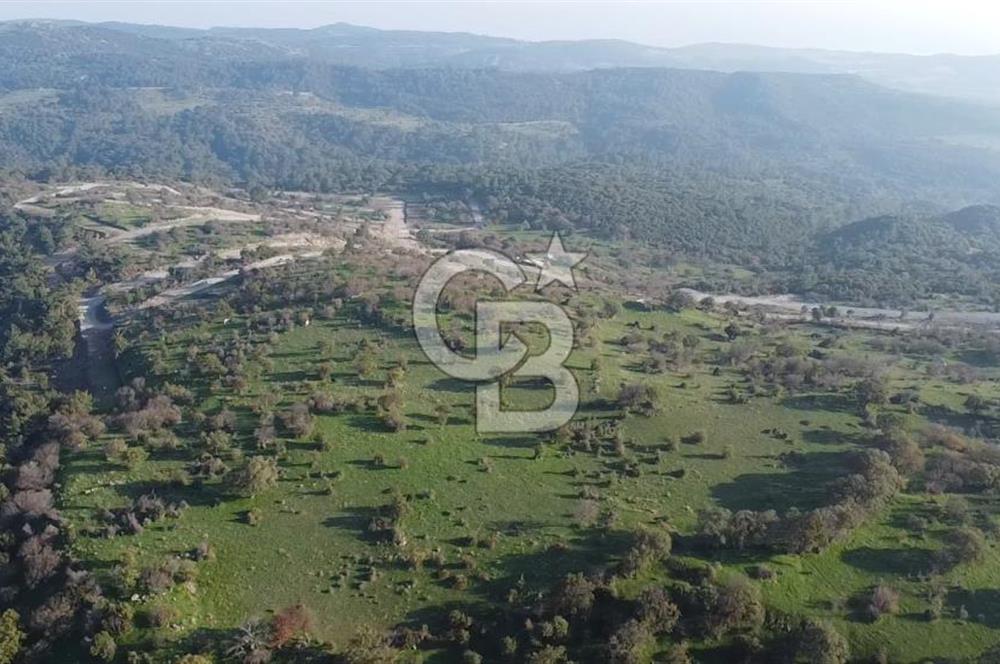  ÇANAKKALE AYVACIK PAŞAKÖY DENİZ MANZARALI YOLU OLAN 5001 M2 ARSA