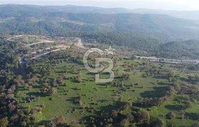  ÇANAKKALE AYVACIK PAŞAKÖY DENİZ MANZARALI YOLU OLAN 5001 M2 ARSA