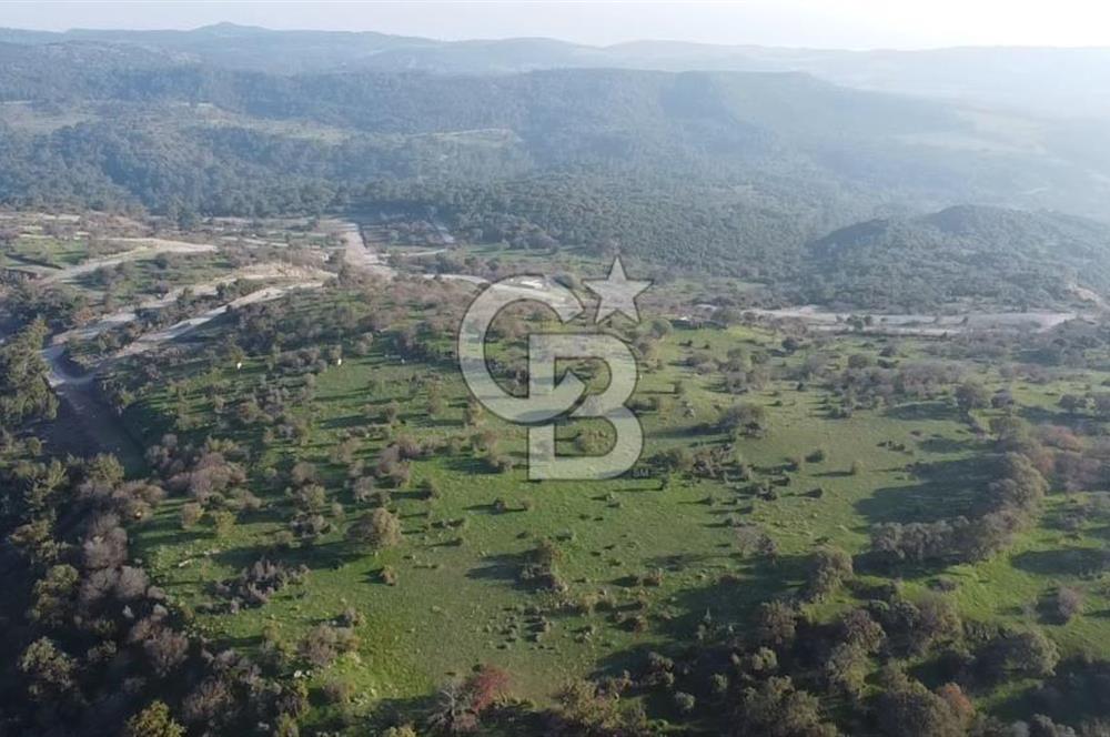  ÇANAKKALE AYVACIK PAŞAKÖY DENİZ MANZARALI YOLU OLAN 5001 M2 ARSA