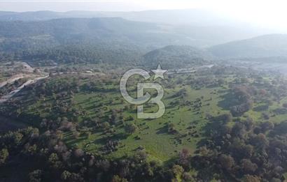  ÇANAKKALE AYVACIK PAŞAKÖY DENİZ MANZARALI YOLU OLAN 5001 M2 ARSA