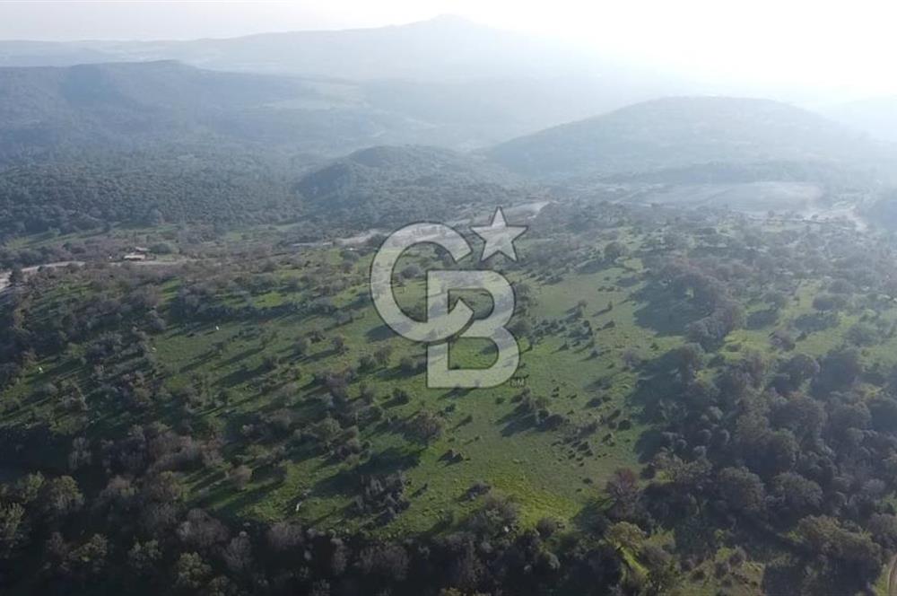  ÇANAKKALE AYVACIK PAŞAKÖY DENİZ MANZARALI YOLU OLAN 5001 M2 ARSA