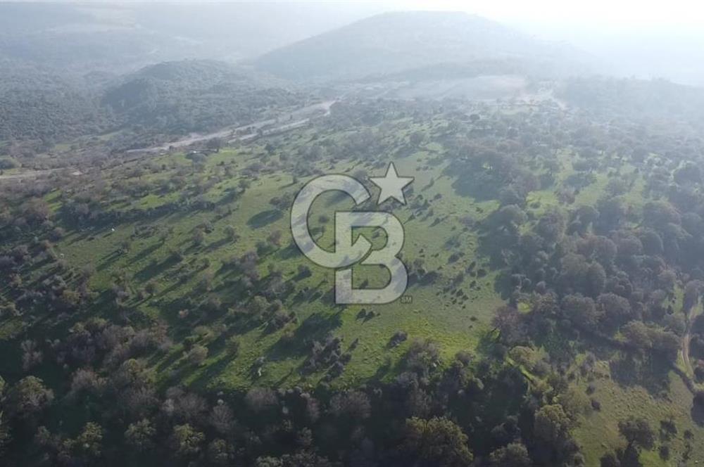  ÇANAKKALE AYVACIK PAŞAKÖY DENİZ MANZARALI YOLU OLAN 5001 M2 ARSA