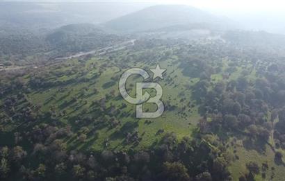  ÇANAKKALE AYVACIK PAŞAKÖY DENİZ MANZARALI YOLU OLAN 5001 M2 ARSA