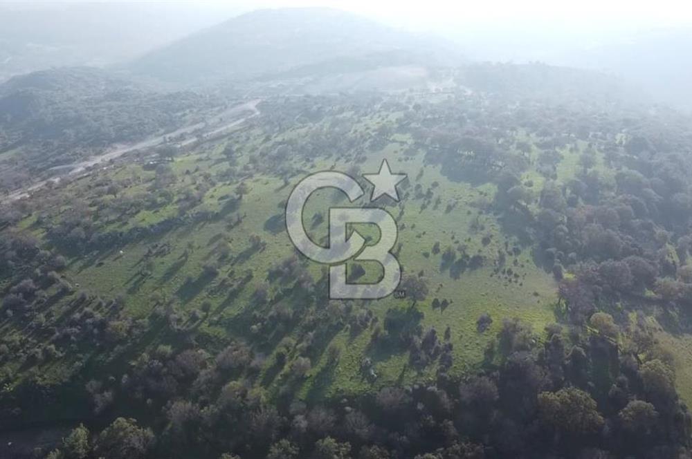  ÇANAKKALE AYVACIK PAŞAKÖY DENİZ MANZARALI YOLU OLAN 5001 M2 ARSA