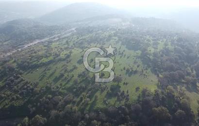  ÇANAKKALE AYVACIK PAŞAKÖY DENİZ MANZARALI YOLU OLAN 5001 M2 ARSA