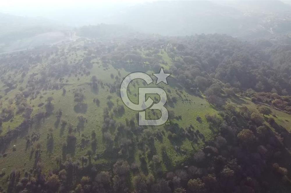  ÇANAKKALE AYVACIK PAŞAKÖY DENİZ MANZARALI YOLU OLAN 5001 M2 ARSA