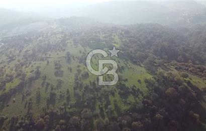  ÇANAKKALE AYVACIK PAŞAKÖY DENİZ MANZARALI YOLU OLAN 5001 M2 ARSA